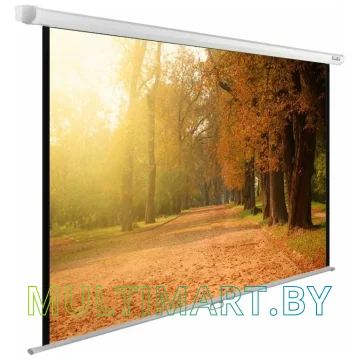 Проекционный экран CACTUS WallExpert 200x125 (CS-PSWE-200x125-WT)